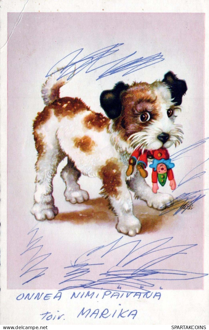 PERRO Vintage Tarjeta Postal CPSMPF #PKG924.ES - Chiens