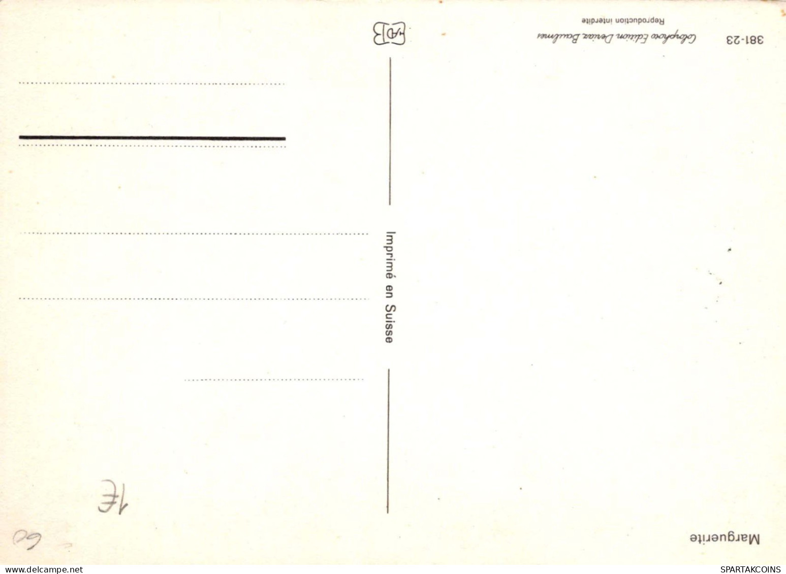 FLORES Vintage Tarjeta Postal CPSM #PBZ635.ES - Fleurs
