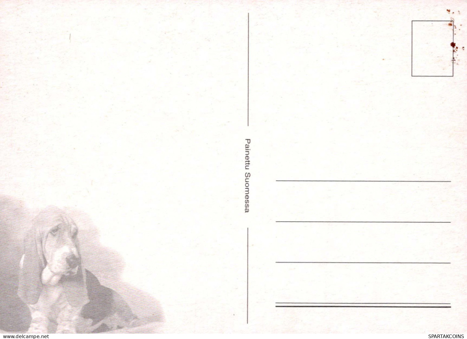 PERRO Animales Vintage Tarjeta Postal CPSM #PBQ391.ES - Chiens
