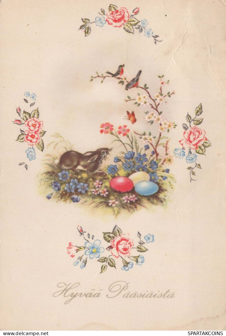 PASCUA CONEJO HUEVO Vintage Tarjeta Postal CPSM #PBO368.ES - Easter