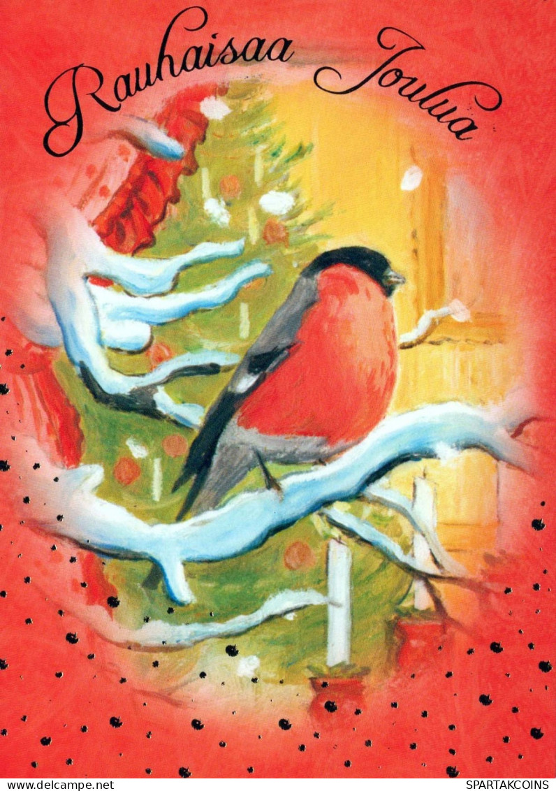 Feliz Año Navidad PÁJARO Vintage Tarjeta Postal CPSM #PBM613.ES - Neujahr