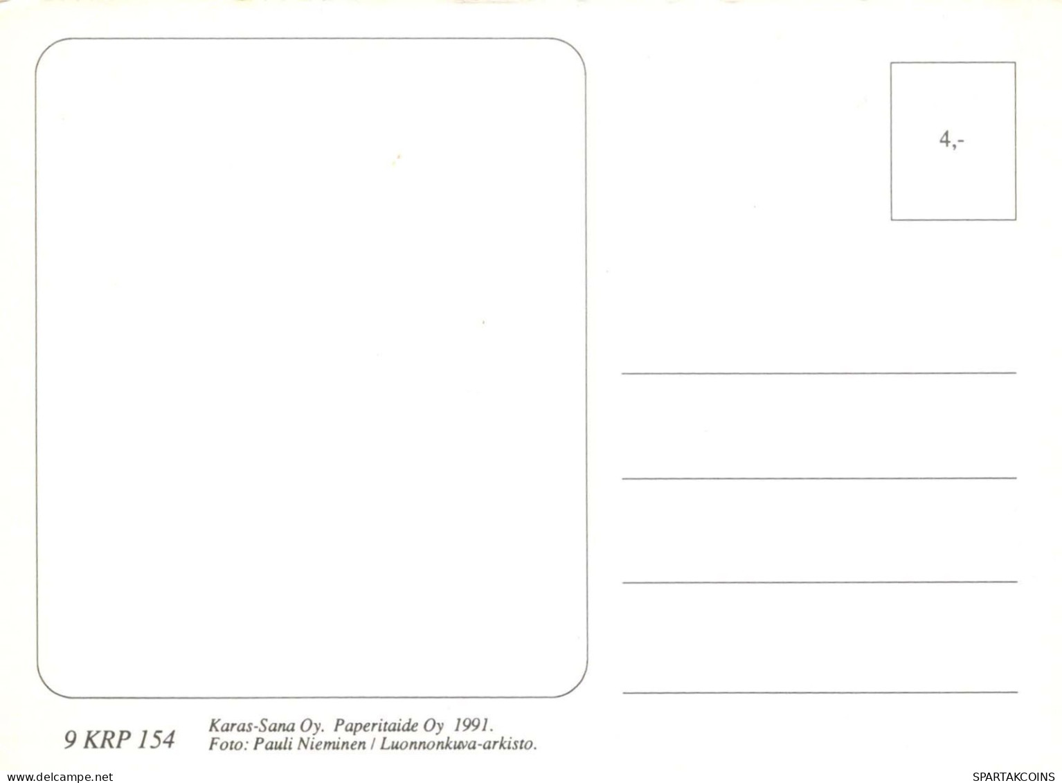 FLORES Vintage Tarjeta Postal CPSM #PAR266.ES - Fleurs