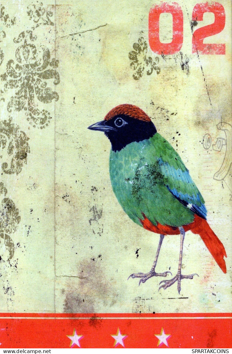 PÁJARO Animales Vintage Tarjeta Postal CPSM #PAN375.ES - Oiseaux