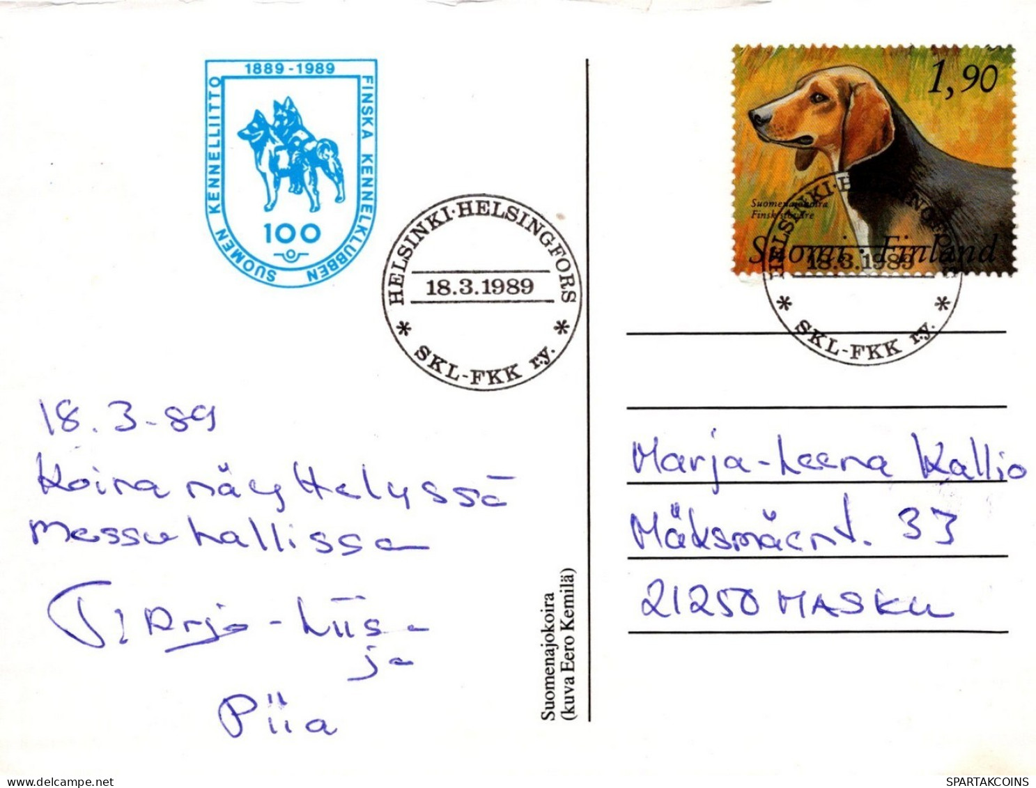 PERRO Animales Vintage Tarjeta Postal CPSM #PAN697.ES - Chiens