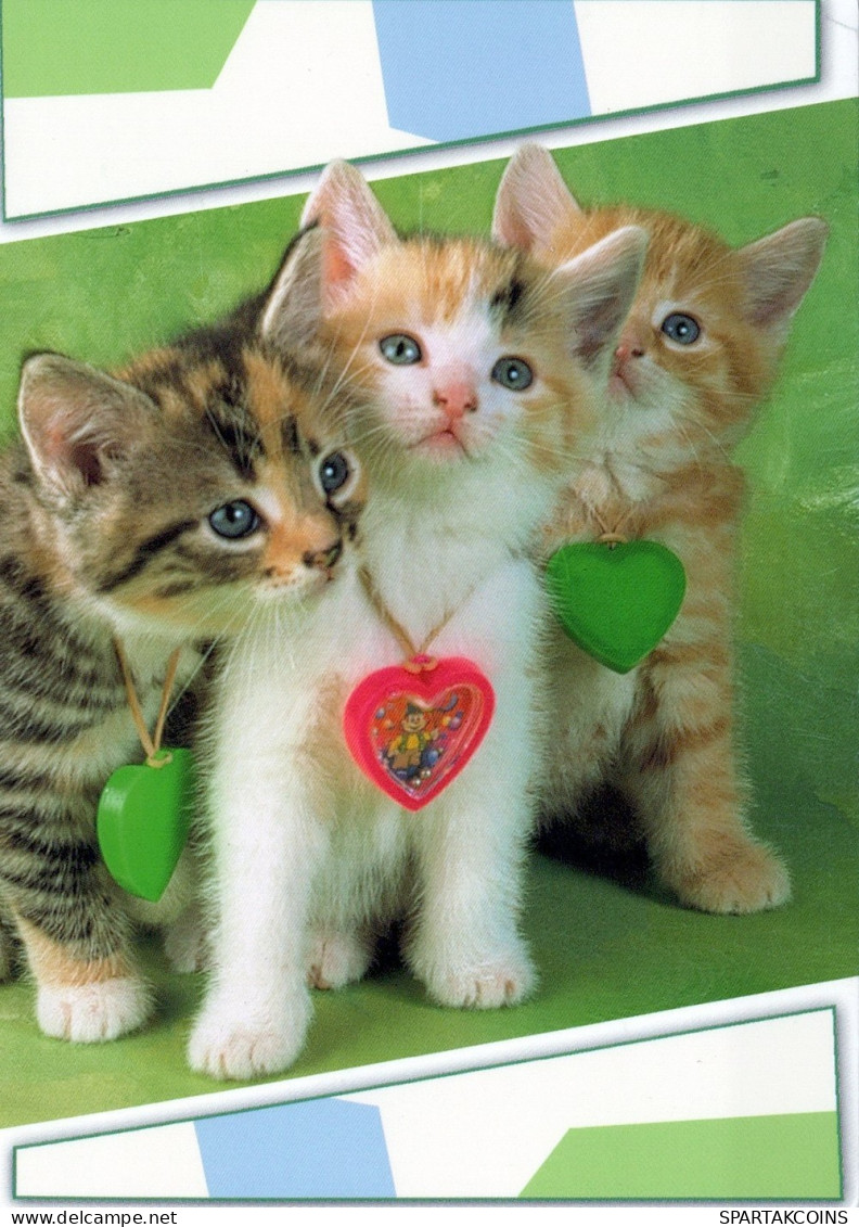 GATO GATITO Animales Vintage Tarjeta Postal CPSM #PAM562.ES - Cats