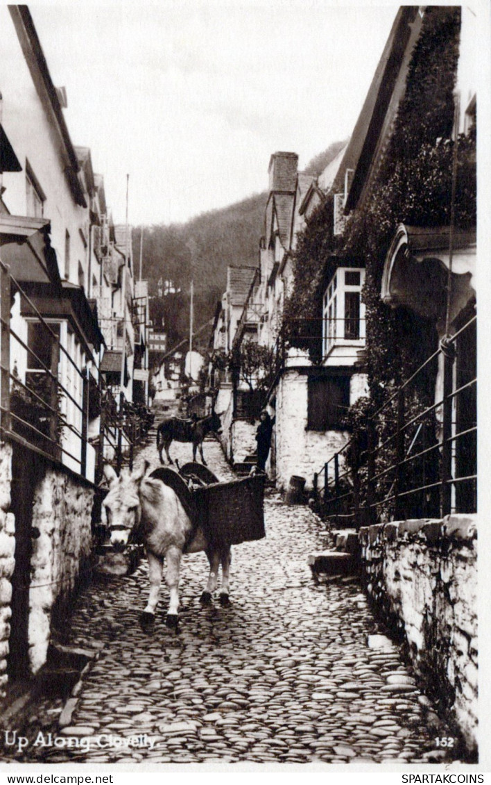 BURRO Animales Vintage Antiguo CPA Tarjeta Postal #PAA256.ES - Donkeys