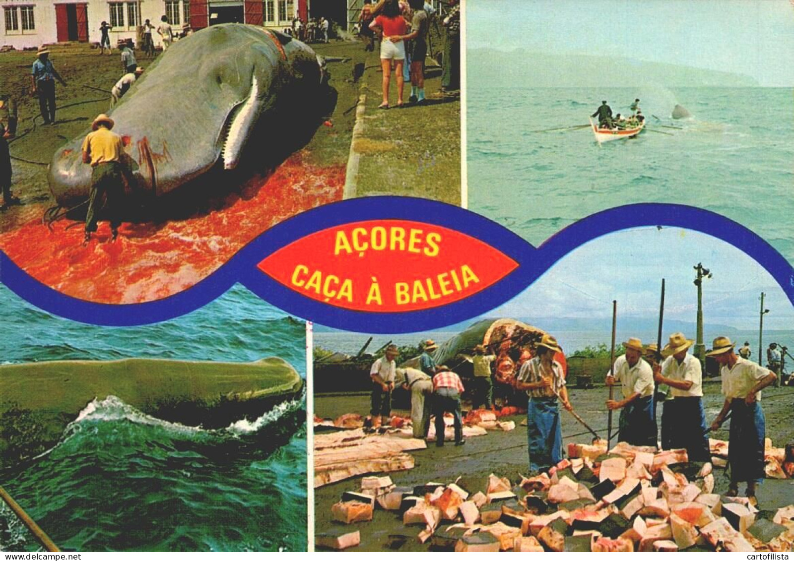 AÇORES, SÃO MIGUEL - Caça à Baleia, Whale  (2 Scans) - Açores