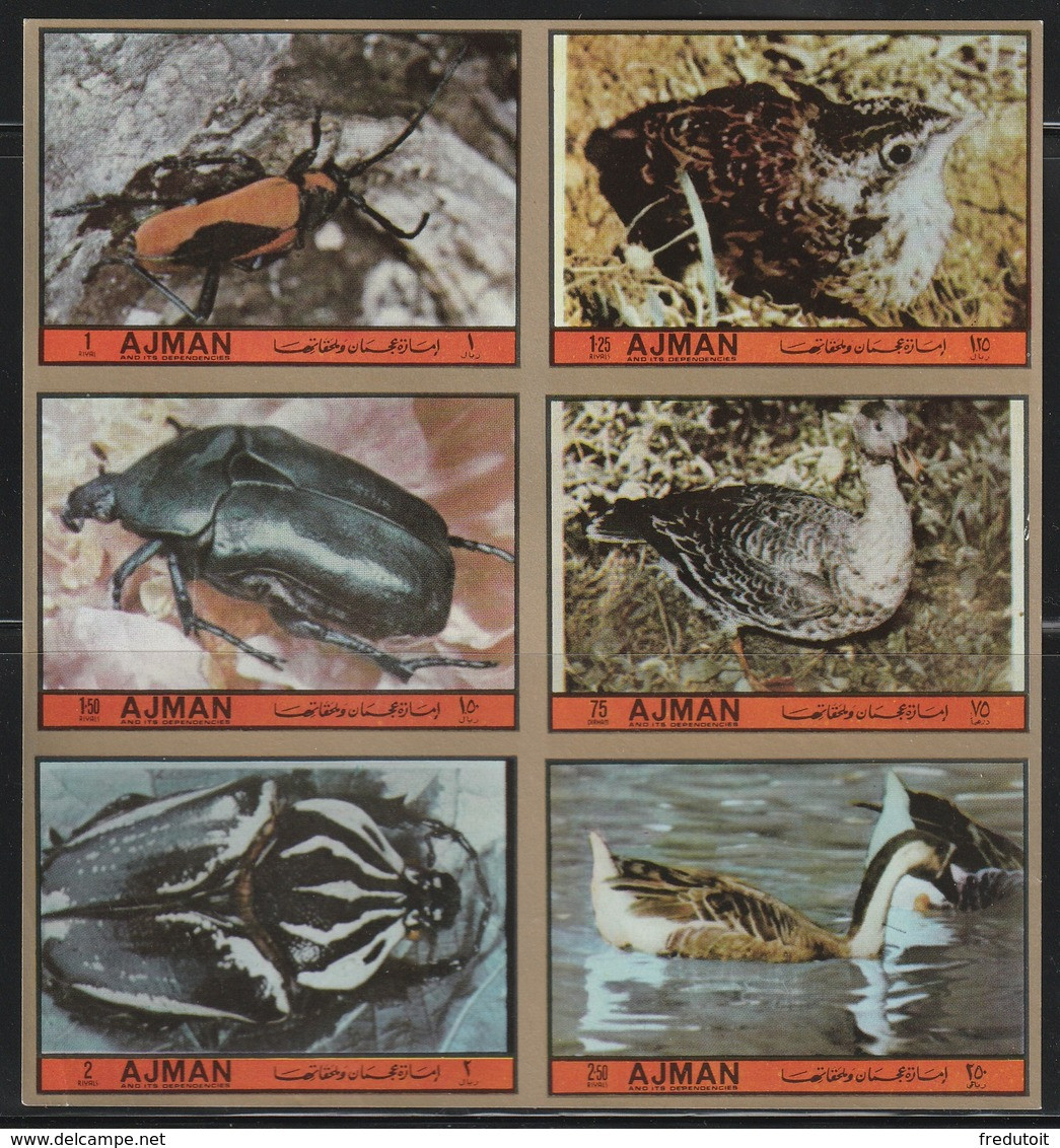 AJMAN - N°2172/77 ** NON DENTELE (1972) Oiseaux / Insectes - Ajman