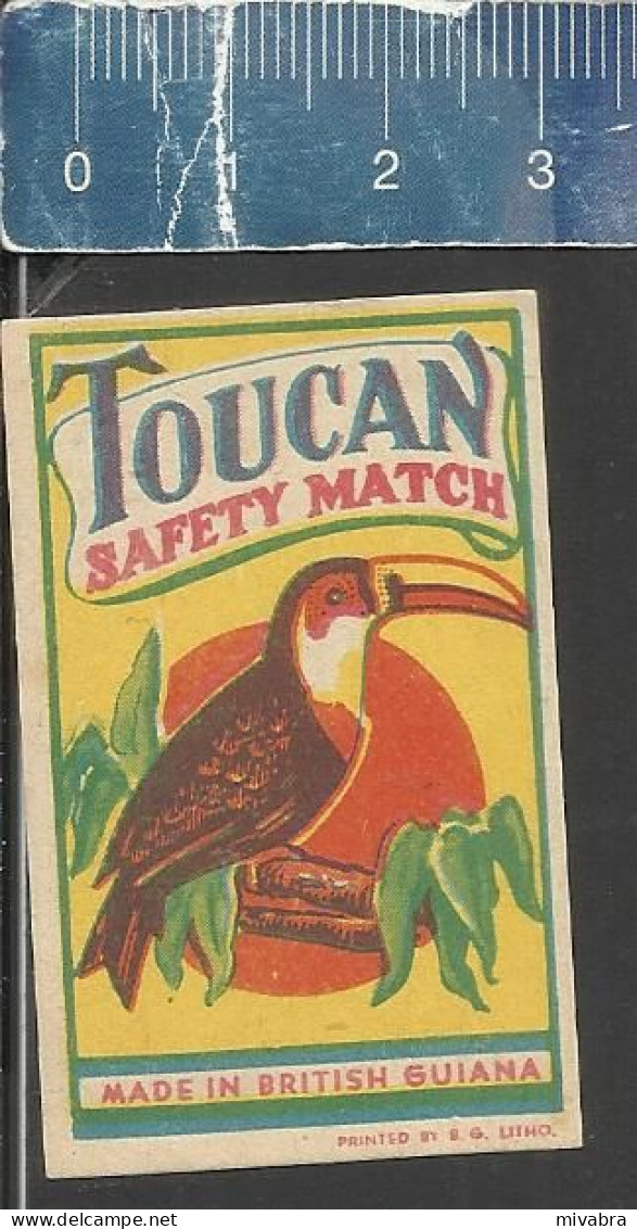 TOUCAN SAFETY MATCHES - OLD VINTAGEMATCHBOX LABEL MADE IN BRITISH GUIANA - Zündholzschachteletiketten