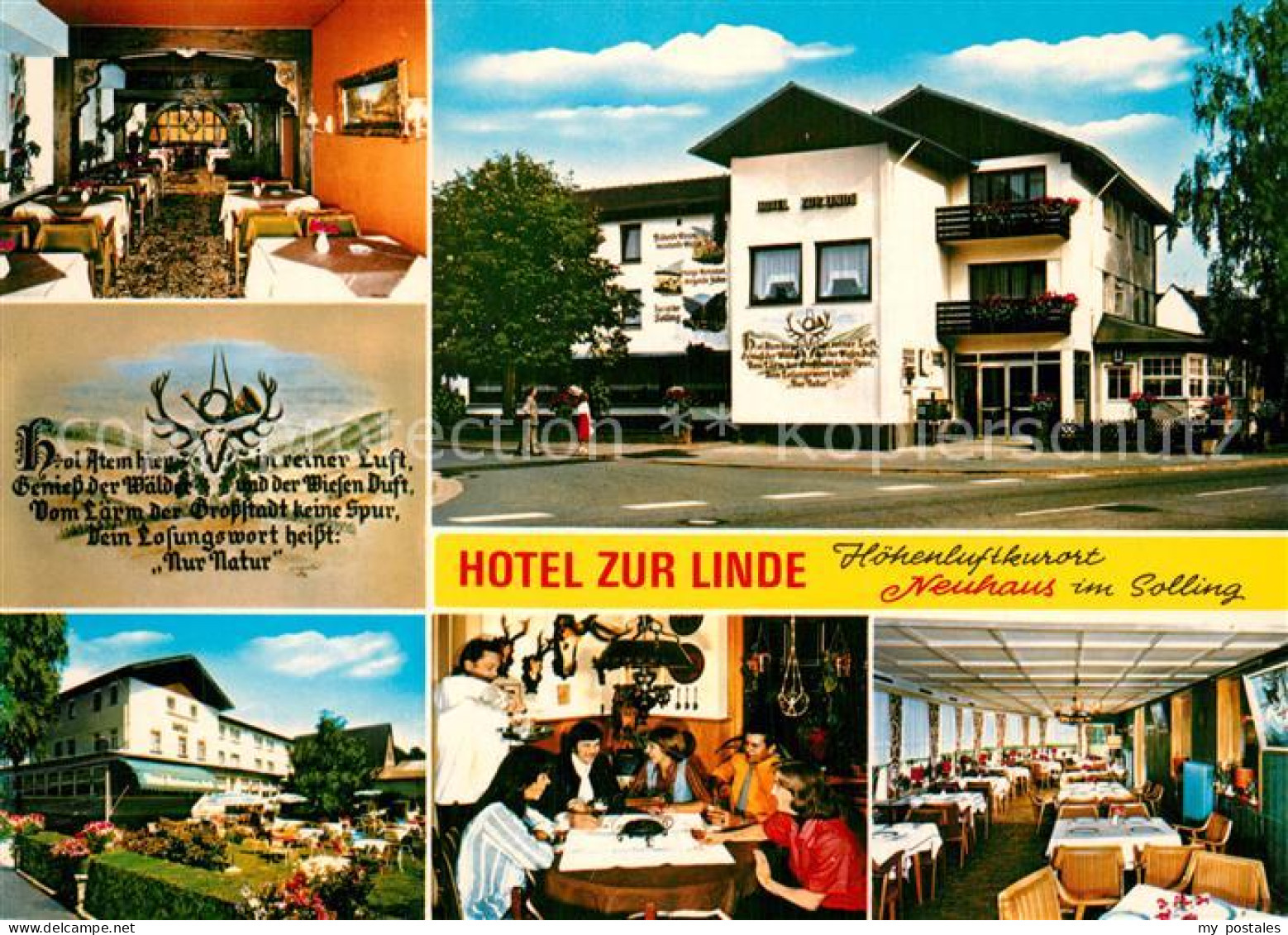 73610958 Neuhaus Solling Hotel Zur Linde Gastraeume Terrasse Neuhaus Solling - Holzminden