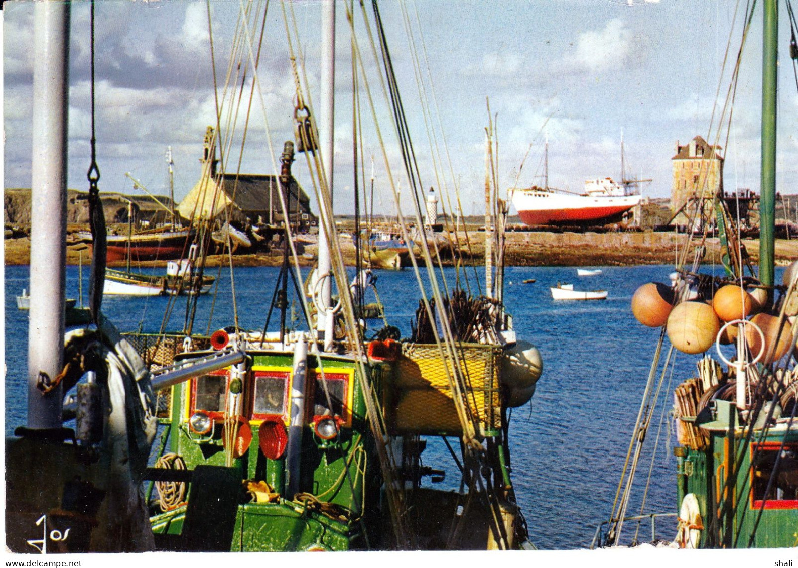 CPSM CAMARET CHALUTIERS DANS LE PORT DEVANT LE SILLON - Camaret-sur-Mer