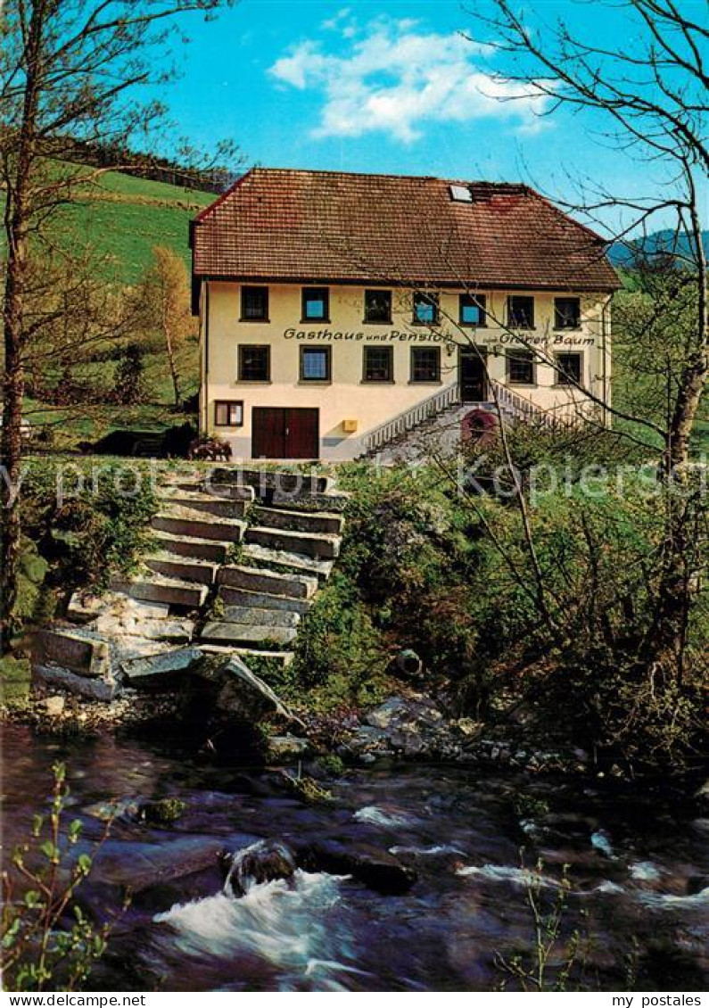 73608936 Elzach Gasthaus Pension Gruener Baum Elzach - Elzach