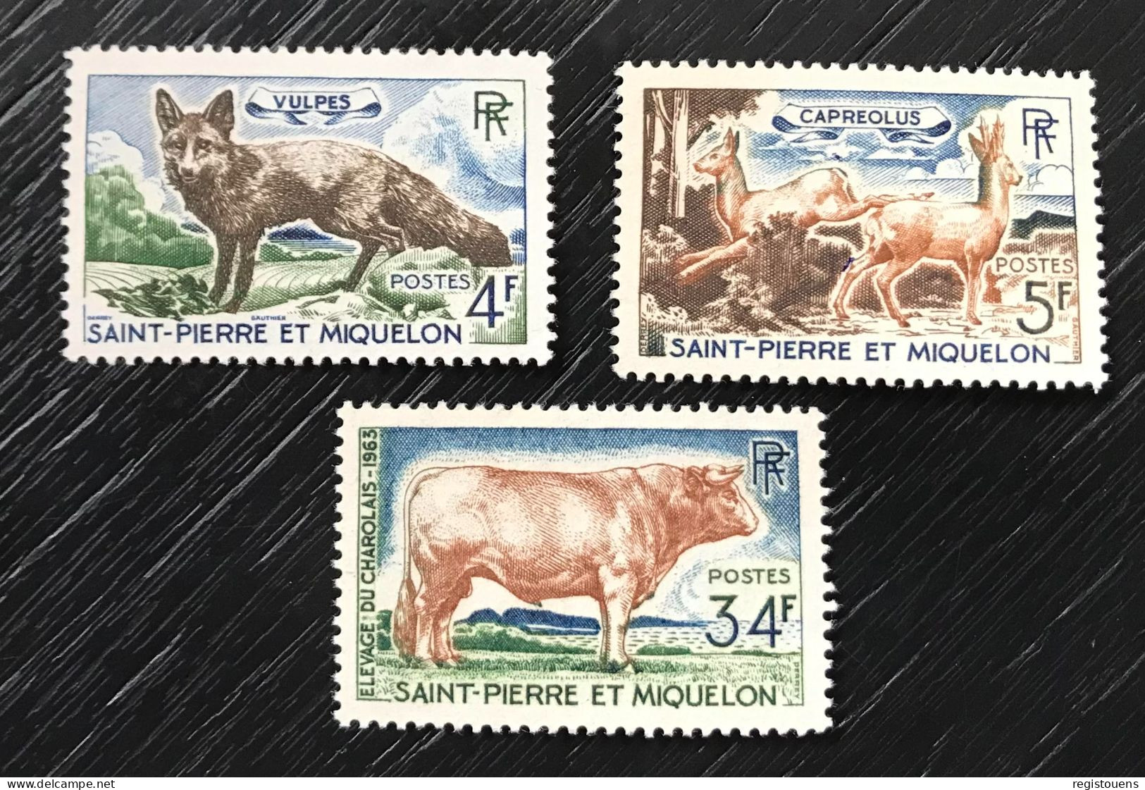 Lot De 3 Timbres Neufs** Saint Pierre Et Miquelon 1964 Yt N° 373 À 375 - Nuovi