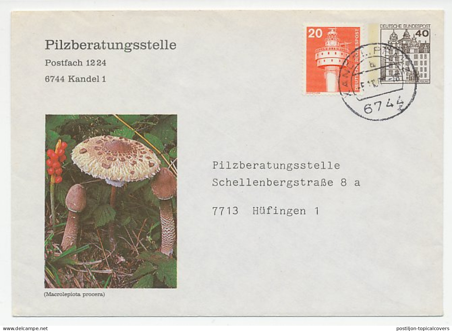 Postal Stationery Germany 1980 Mushroom - Advice Center - Hongos
