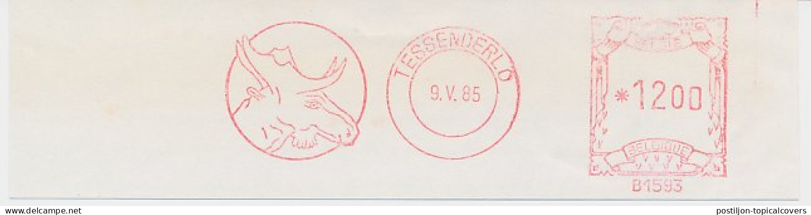 Meter Cut Belgium 1985 Deer - Elk - Moose - Autres & Non Classés