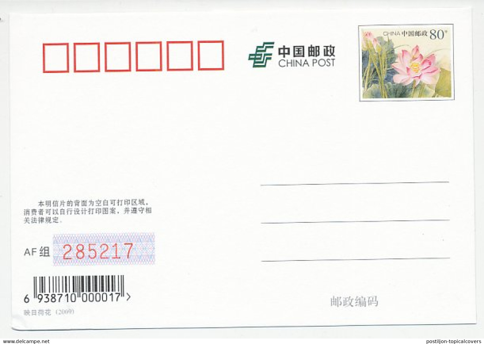 Postal Stationery China 2009 Bee - Beehive - Other & Unclassified