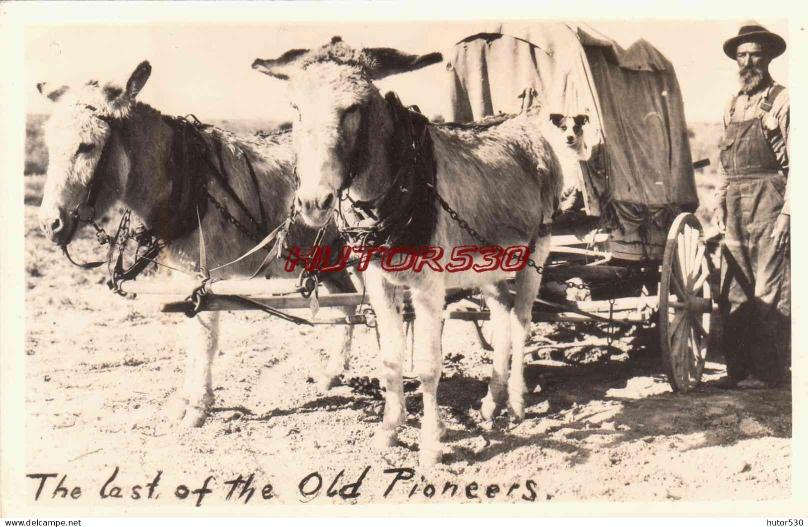 CARTE PHOTO USA - THE LAST OF THE OLD PIONEERS - Sonstige & Ohne Zuordnung