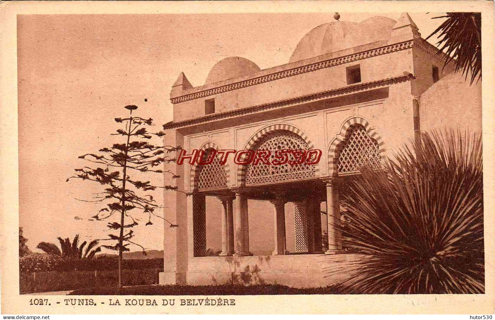 CPA TUNIS - LA KOUBA DU BELVEDERE - Tunisie