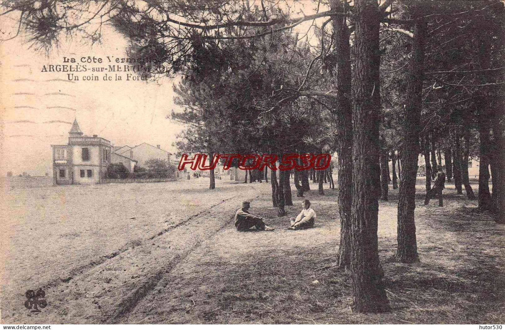 CPA ARGELES SUR MER - UN COIN DE LA FORET - Argeles Sur Mer