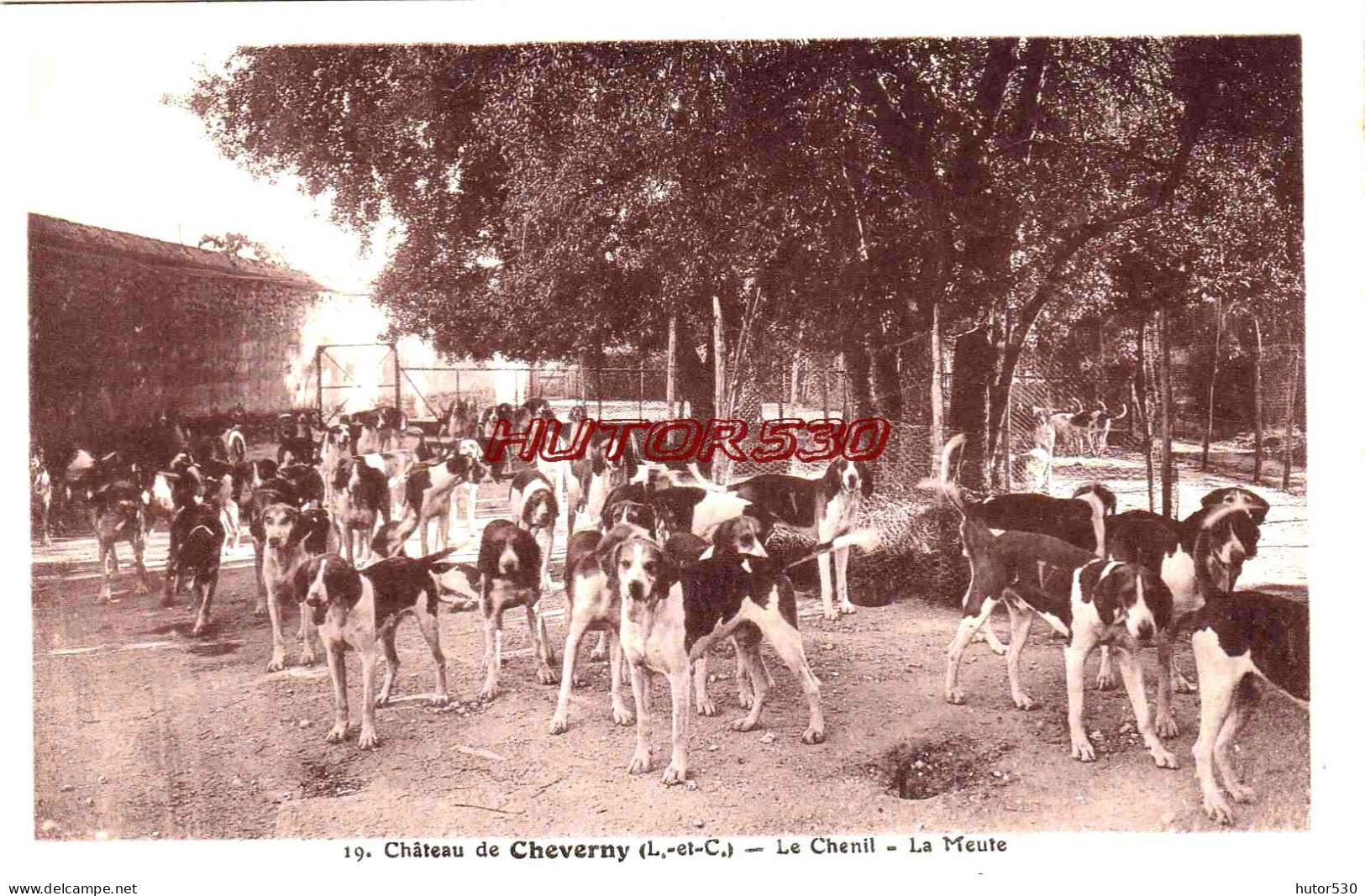 CPA CHEVERNY - CHATEAU - LE CHENIL - LA MEUTE - Cheverny