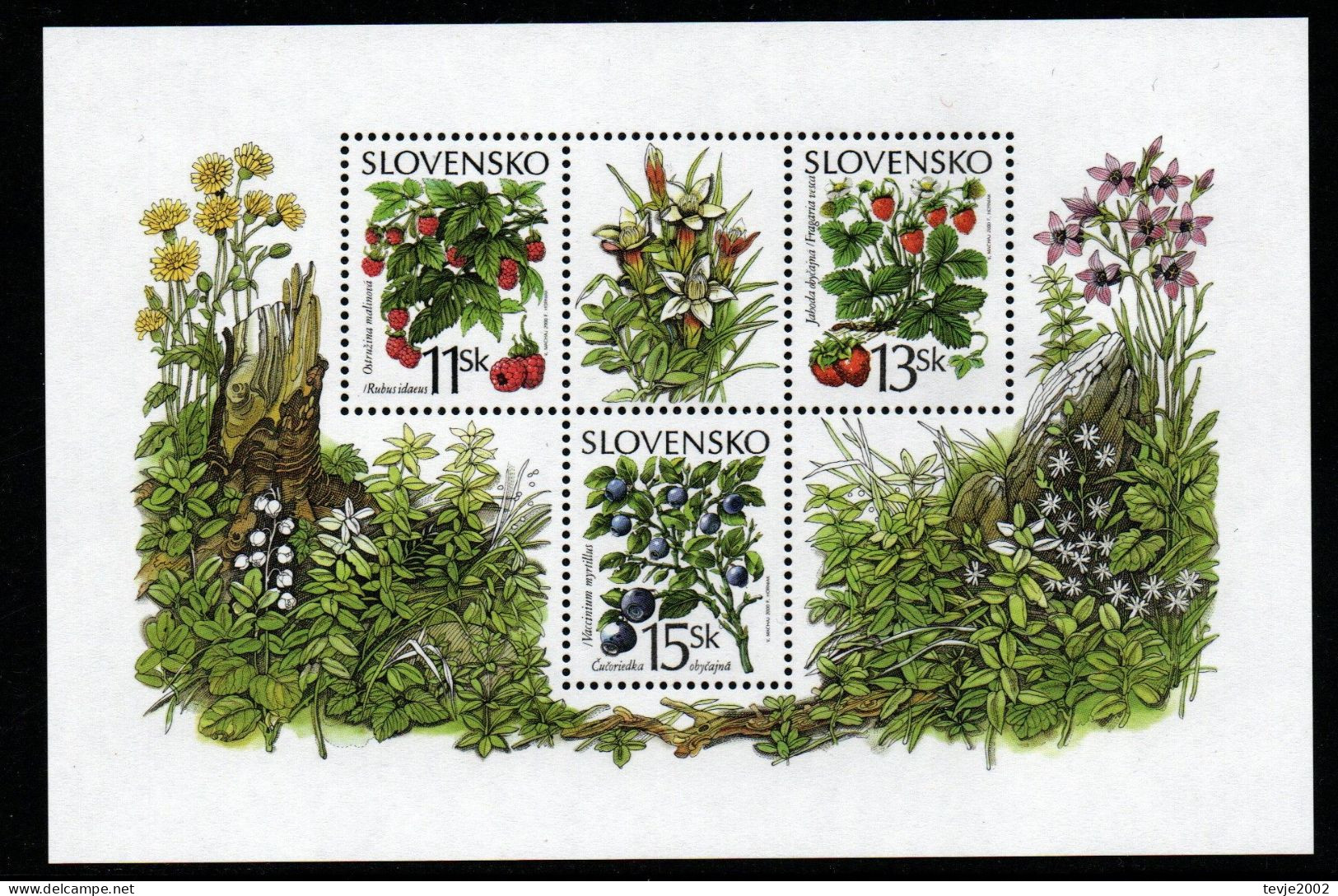 Slowakei Slovensko 2000 - Mi.Nr. Block 14 - Postfrisch MNH - Früchte Obst Fruits Beeren Berries - Obst & Früchte