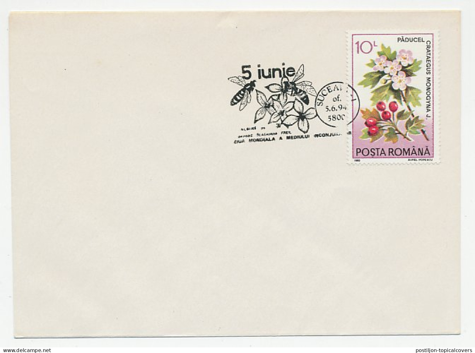 Cover / Postmark Romania 1994 Bee - Flower - Other & Unclassified