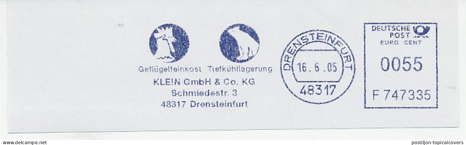 Meter Cut Germany 2005 Polar Bear - Cock - Spedizioni Artiche