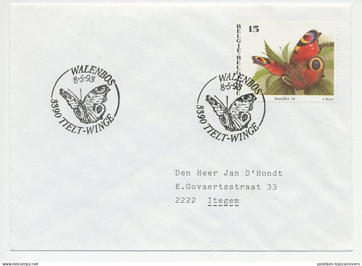 Cover / Postmark Belgium 1993 Butterfly - Other & Unclassified