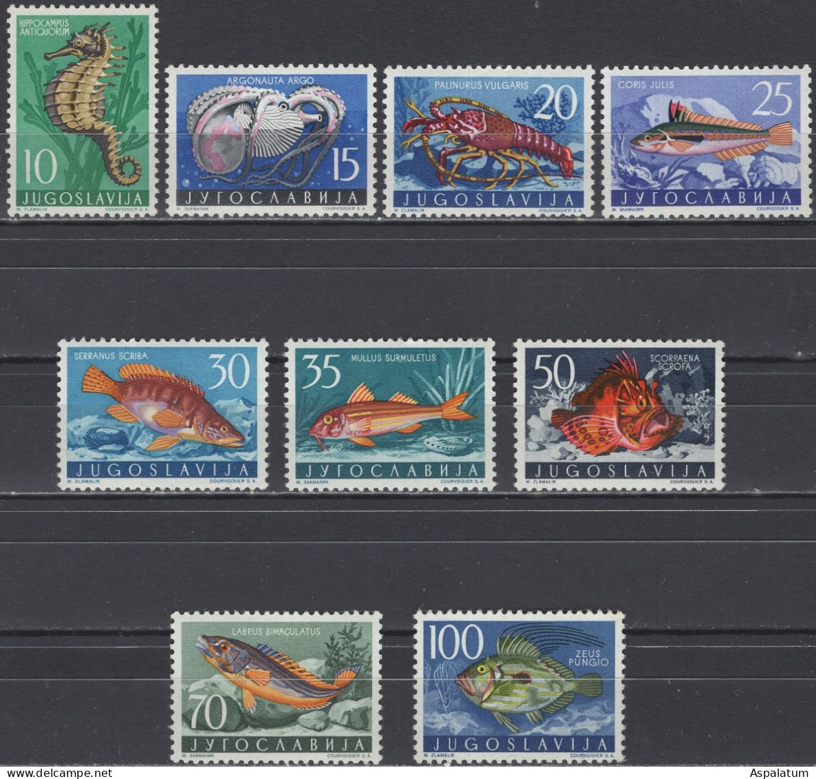 Yugoslavia - Set Of 9 - Adriatic Sea Fauna - Mi 795~803 - 1956 - MNH - Nuevos