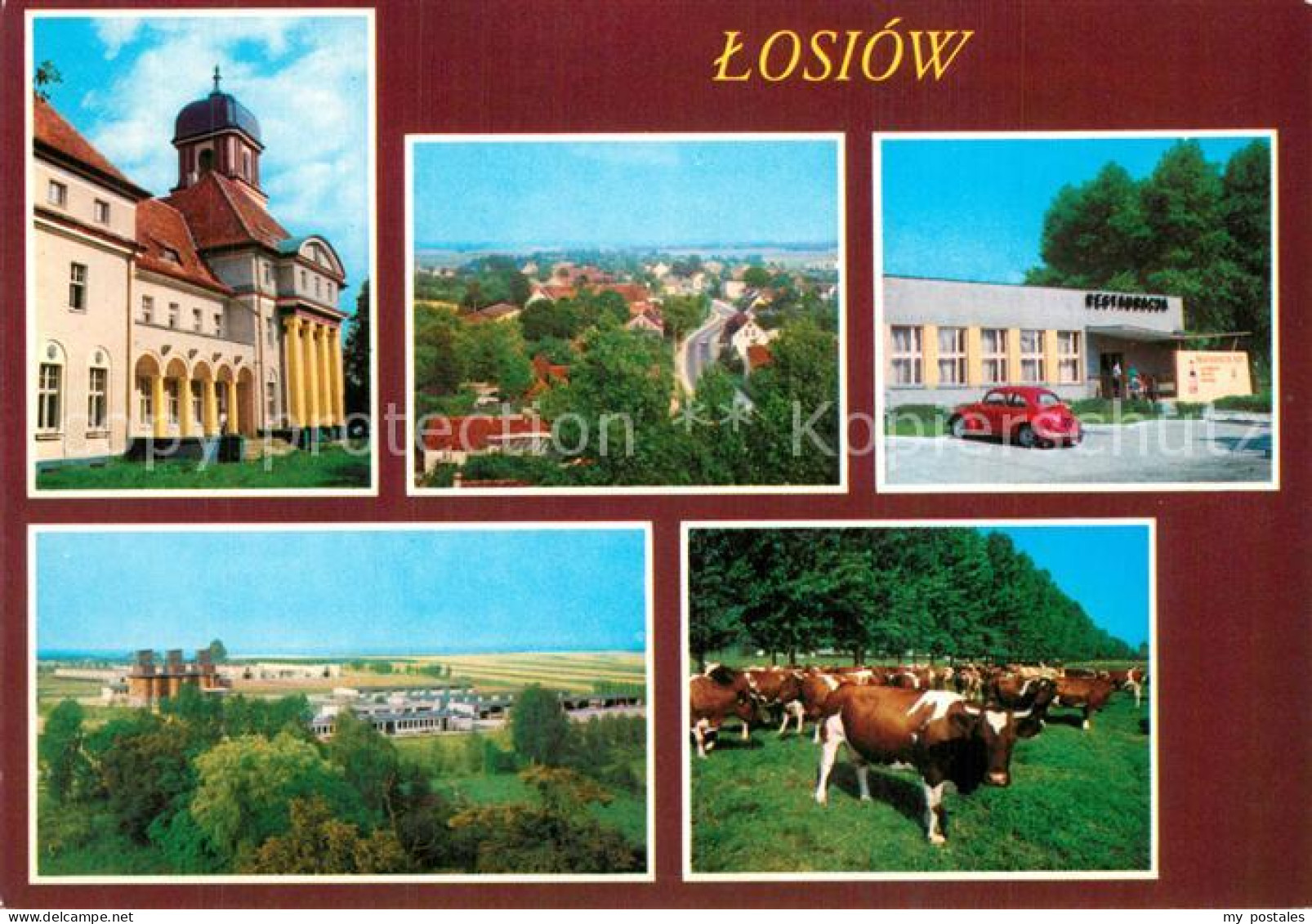 73607632 Losiow Lossen Losiow - Pologne