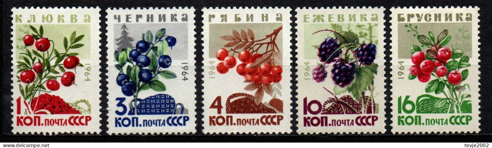Sowjetunion UdSSR CCCP 1964 - Mi.Nr. 2996 - 3000 - Postfrisch MNH - Früchte Obst Fruits Beeren Berries - Obst & Früchte