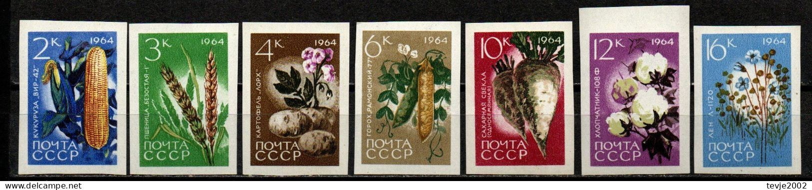 Sowjetunion UdSSR CCCP 1964 - Mi.Nr. 2922 - 2928 B - Postfrisch MNH - Gemüse Vegetables - Vegetables