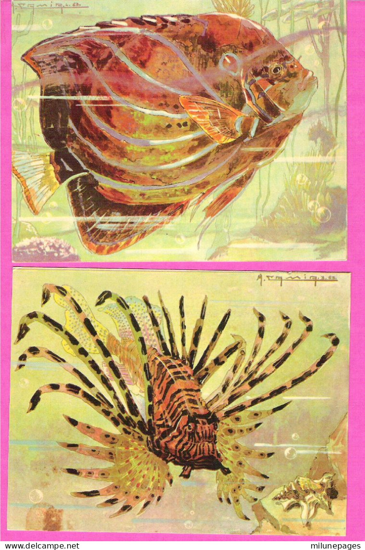 Lot 7 Cartes Publicitaires Laboratoire SOCA Monte-Carlo Poissons Illustrées Par Camia + Beaux Timbres De Monaco 1956 - Oceanografisch Museum