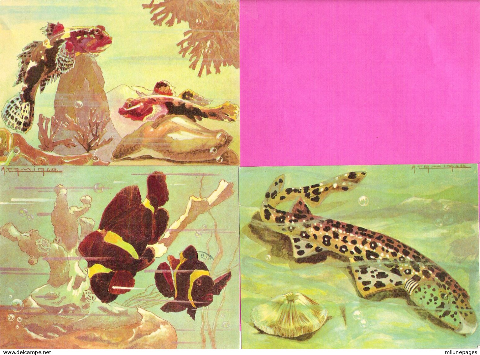 Lot 7 Cartes Publicitaires Laboratoire SOCA Monte-Carlo Poissons Illustrées Par Camia + Beaux Timbres De Monaco 1956 - Musée Océanographique