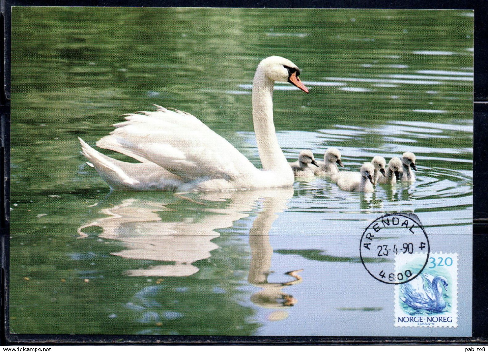 NORWAY NORGE NORVEGIA NORVEGE 1988 1890 FAUNA MUTE SWAN 3.20k MAXI MAXIMUM CARD - Cartes-maximum (CM)