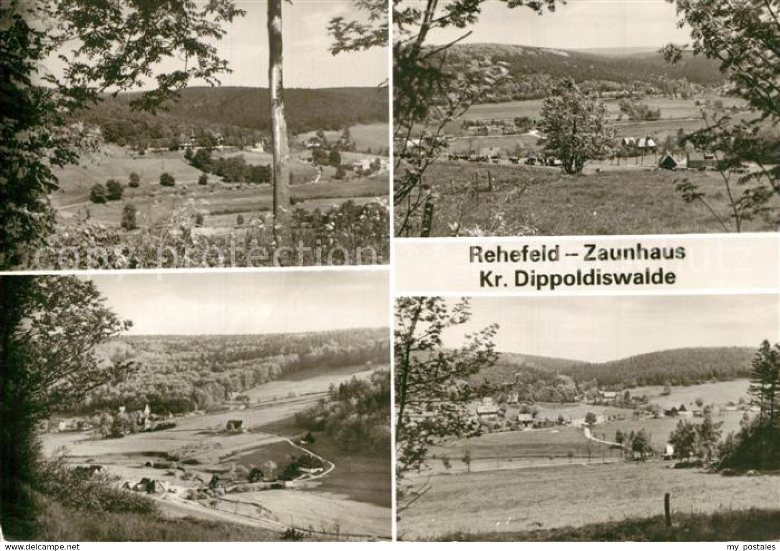 73606936 Rehefeld-Zaunhaus Teilansichten Rehefeld-Zaunhaus - Altenberg