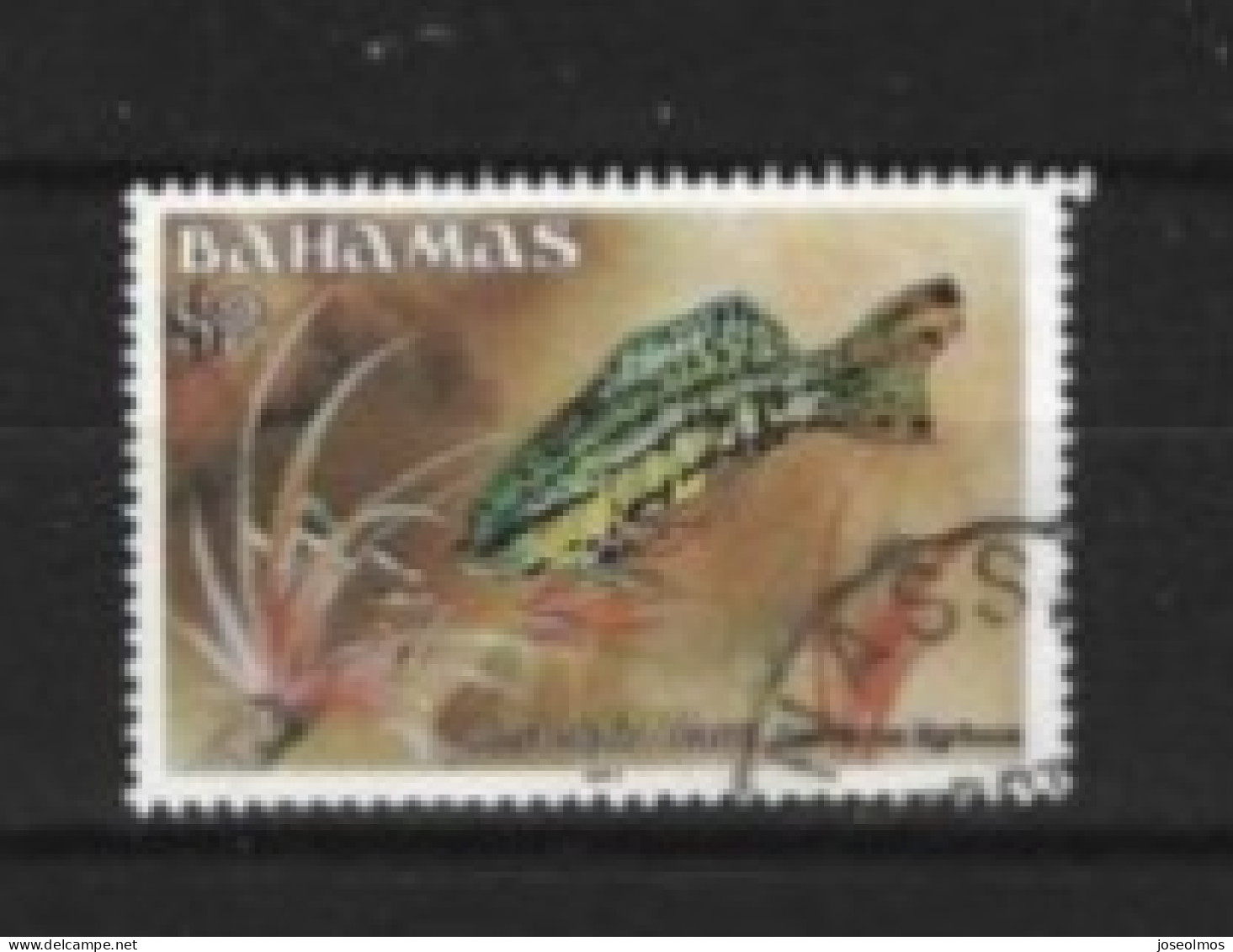TIMBRE BAHAMAS ANNEE 1987 N°614° Y&T - Bahamas (1973-...)