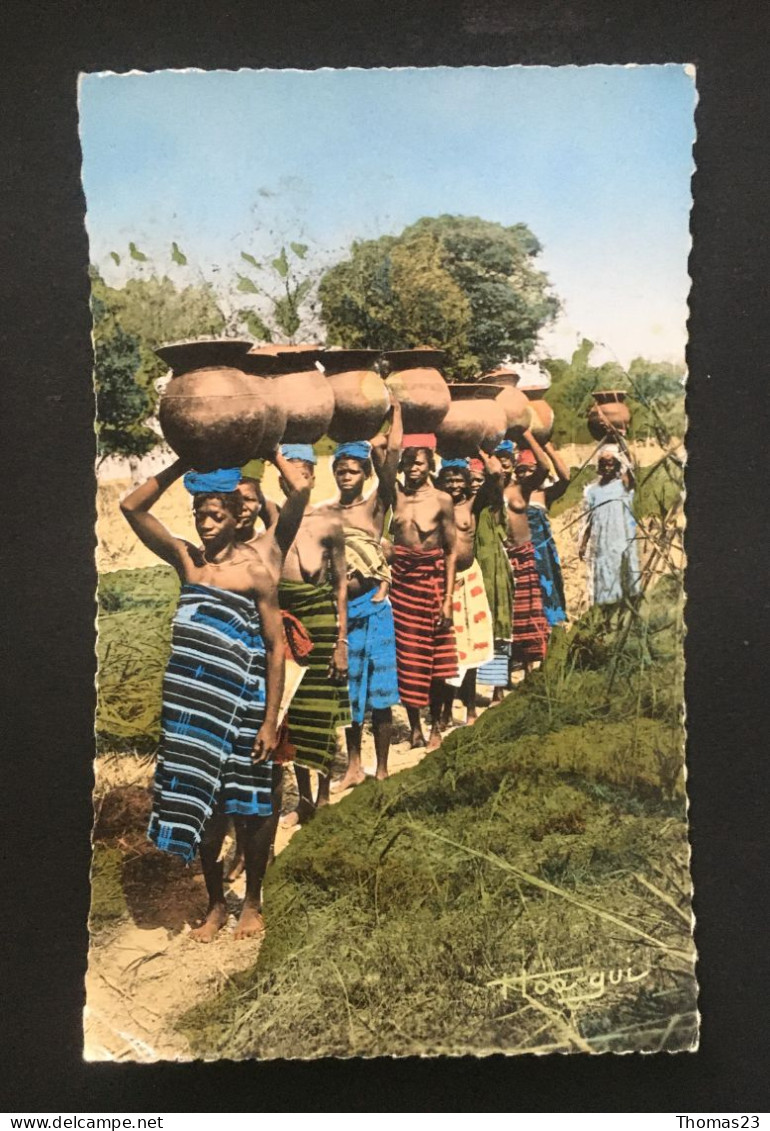 Les Porteuses D'eau, Ed Hoa-Qui, N° 1019 - Sénégal
