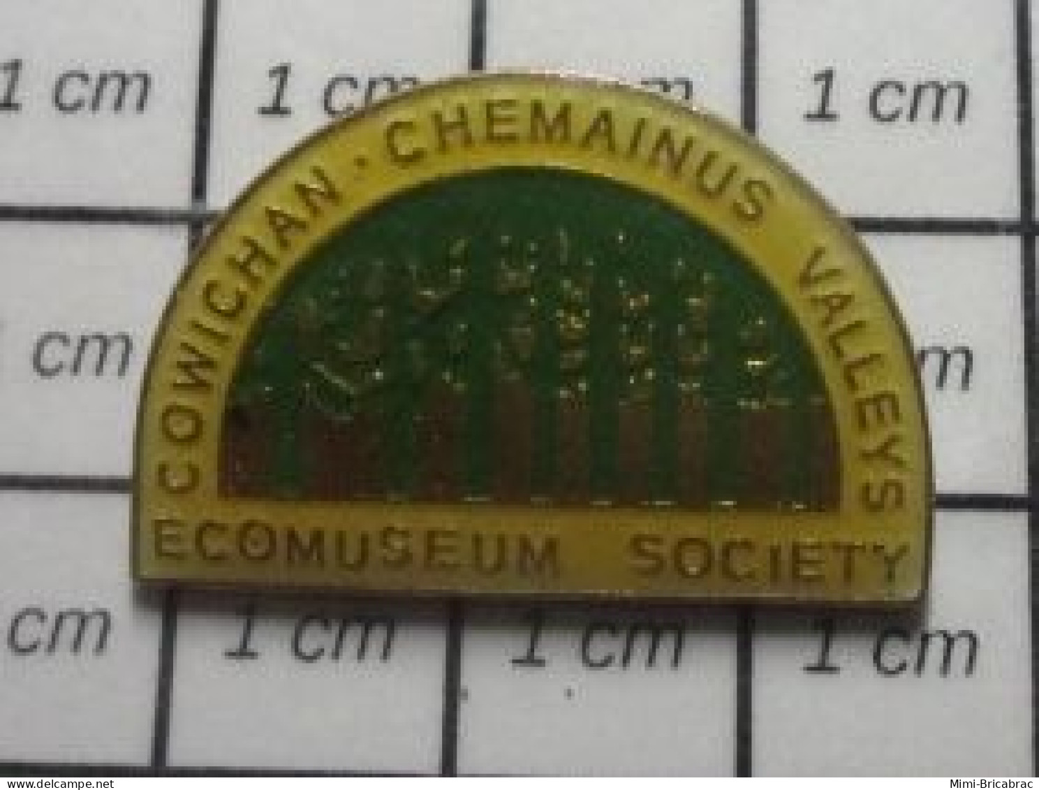 313K Pin's Pins / Beau Et Rare : AUTRES / COWICHAN CHEMAINUS VALLEYS ECOMUSEUM SOCIETY - Sonstige & Ohne Zuordnung