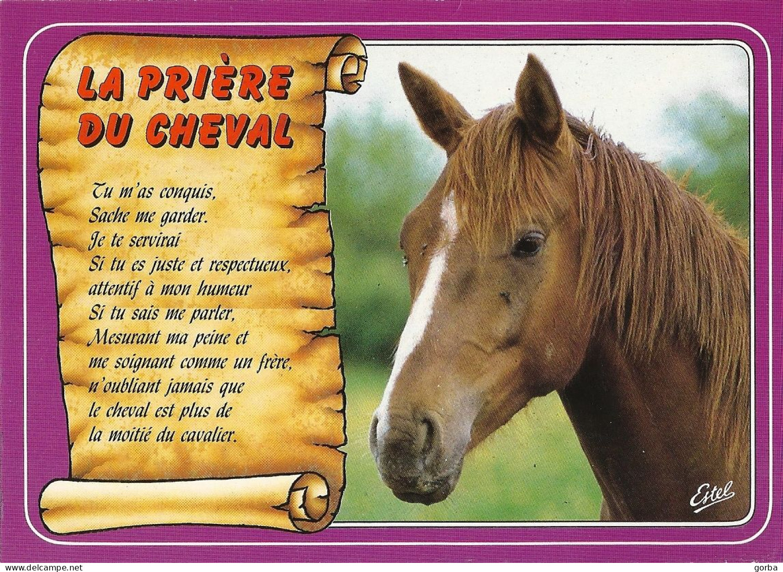 *CPM - La Prière Du Cheval - Chevaux