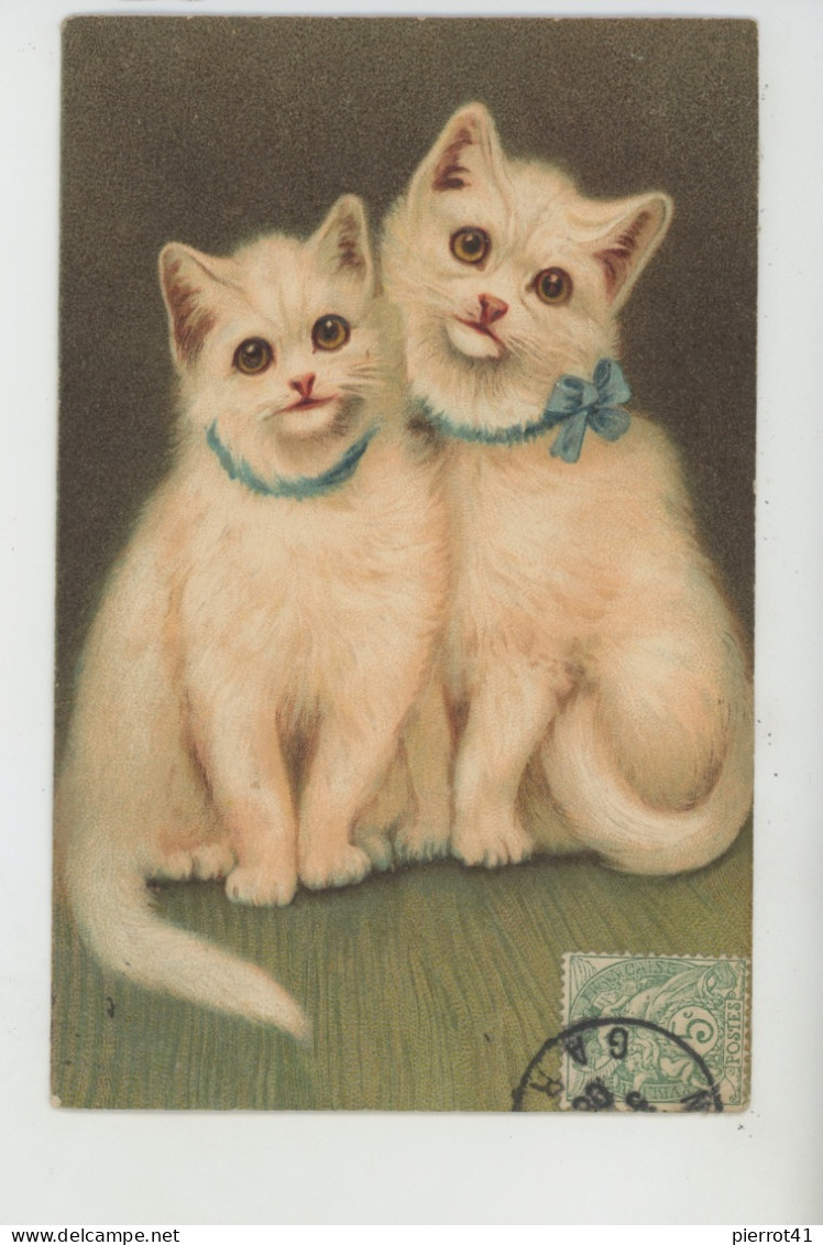 CHATS - CAT - Jolie Carte Fantaisie Gaufrée Chats Blancs (embossed Card) - Chats