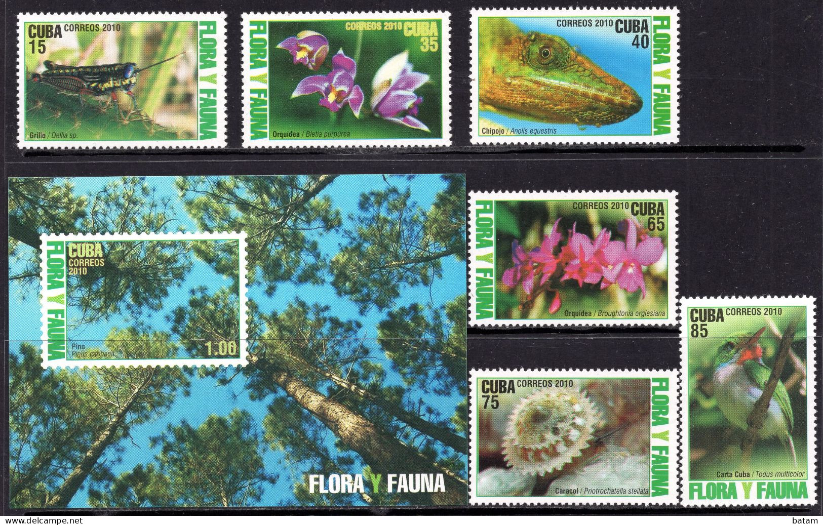 CUBA 2010 - Fauna - Flora - Birds - Orchid - MNH Set + Souvenir Sheet - Unused Stamps