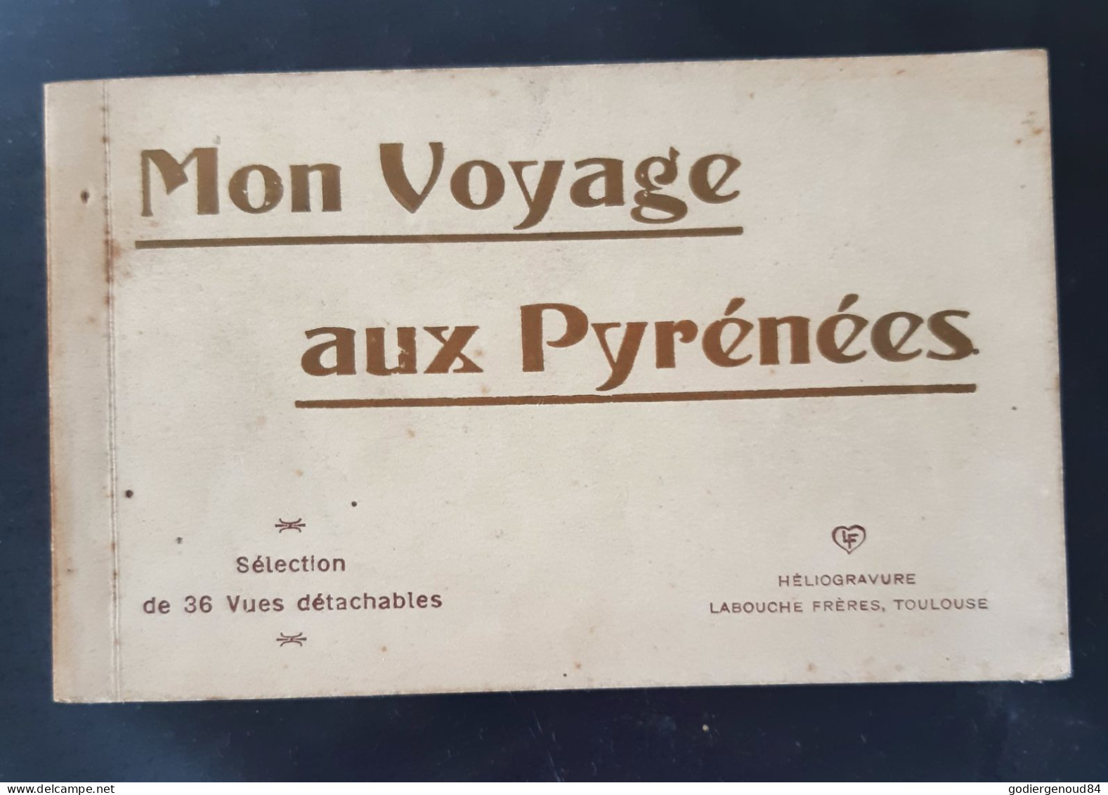 Carnet 36 Cpa Mon Voyage Aux Pyrenées Complet BE, édit Labouche - Sonstige & Ohne Zuordnung