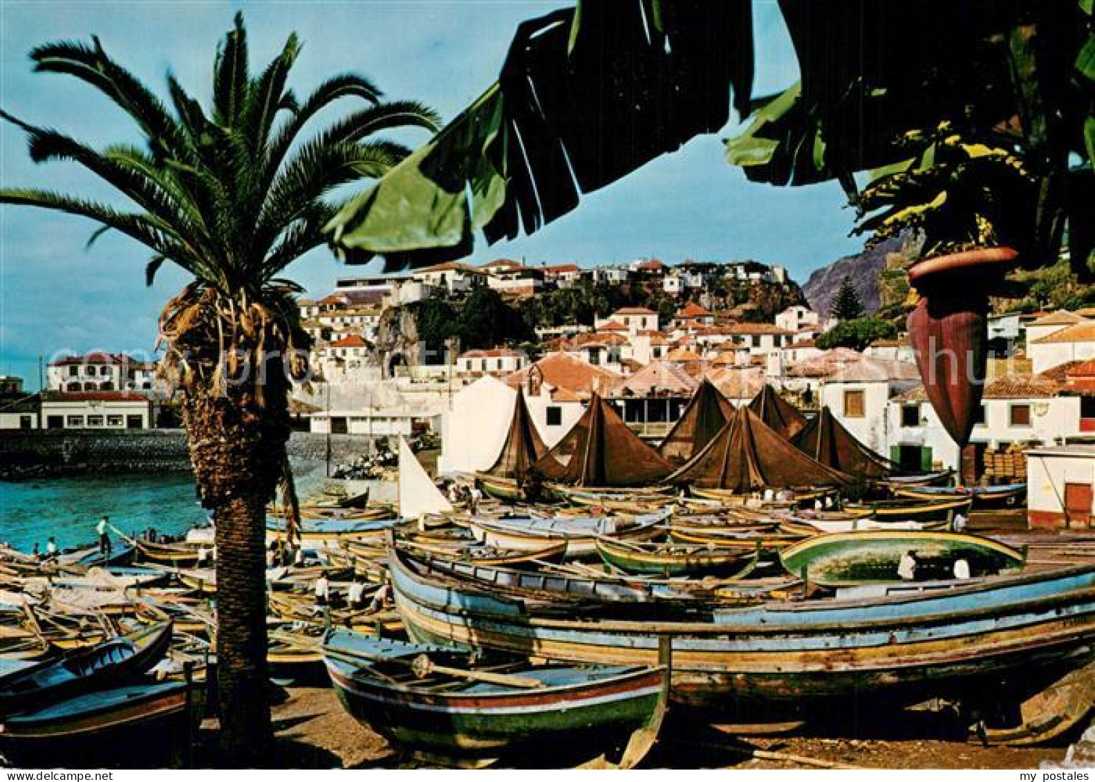 73604480 Camara De Lobos Madeira  Portugal Fischerboote  - Madeira
