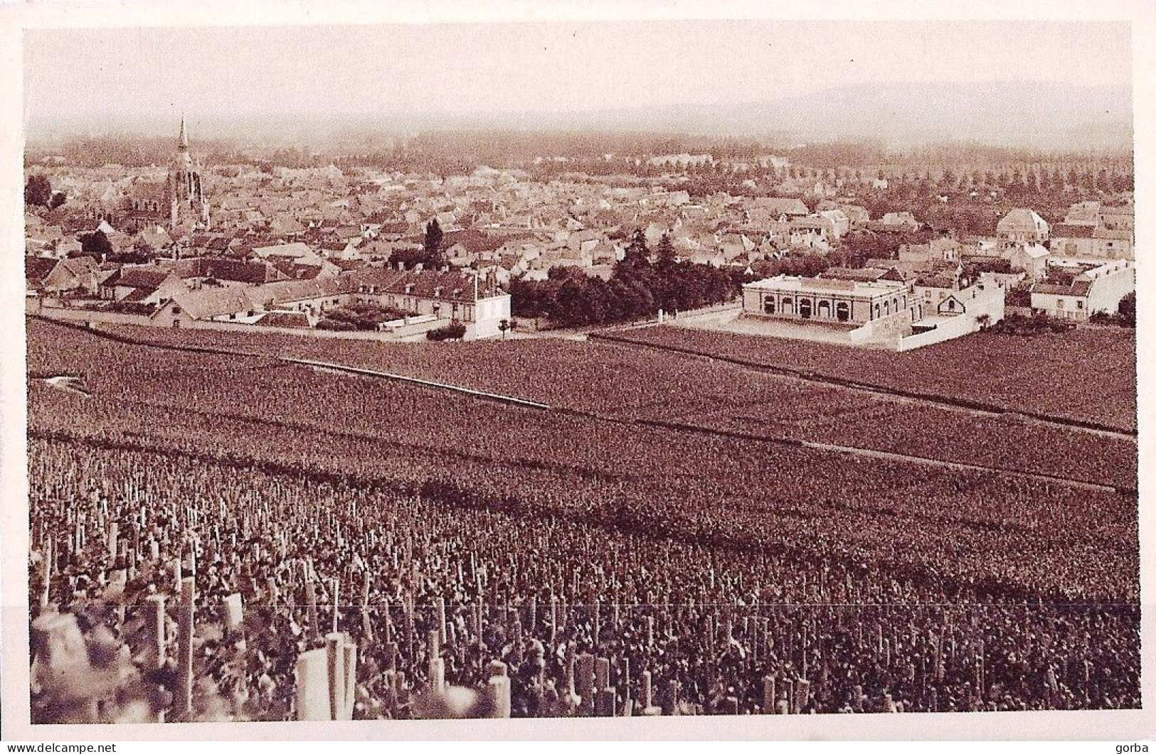 *CPA - 51 - AY En Champagne - Vue Générale - Vigne De Raisins Noirs - Cave Pommery Et Greno - Ay En Champagne