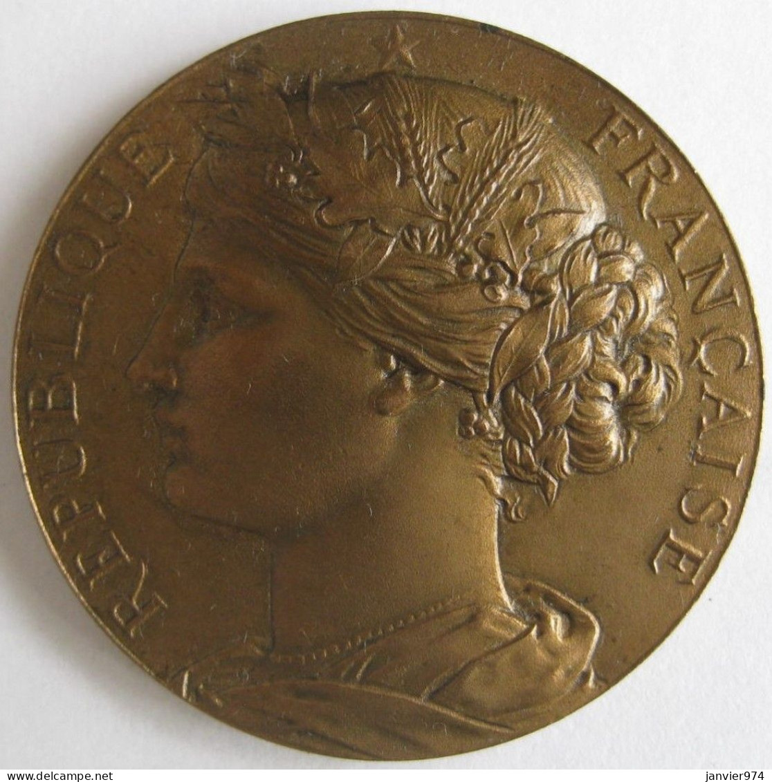 Médaille En Bronze. Grenoble 1914. 23eme Fête Fédérale Du Sud-Est. - Andere & Zonder Classificatie