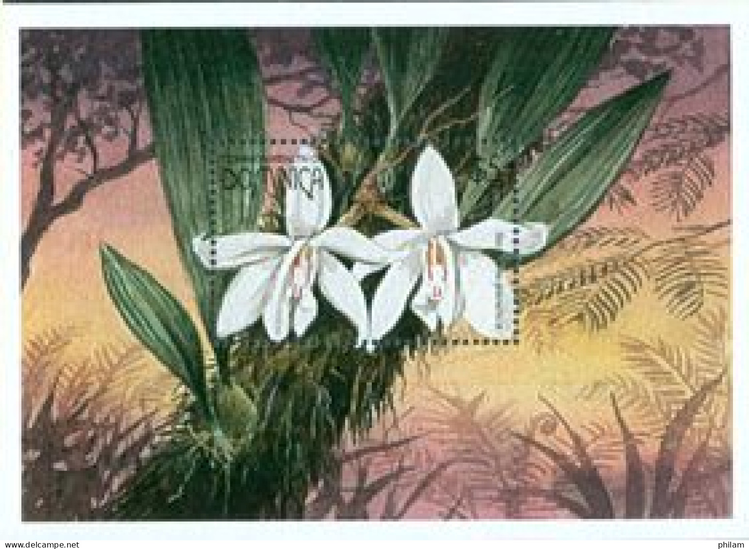 DOMINICA 1997 - Orchidées - BF 2 - Starhopea Grandiflora - Dominica (1978-...)