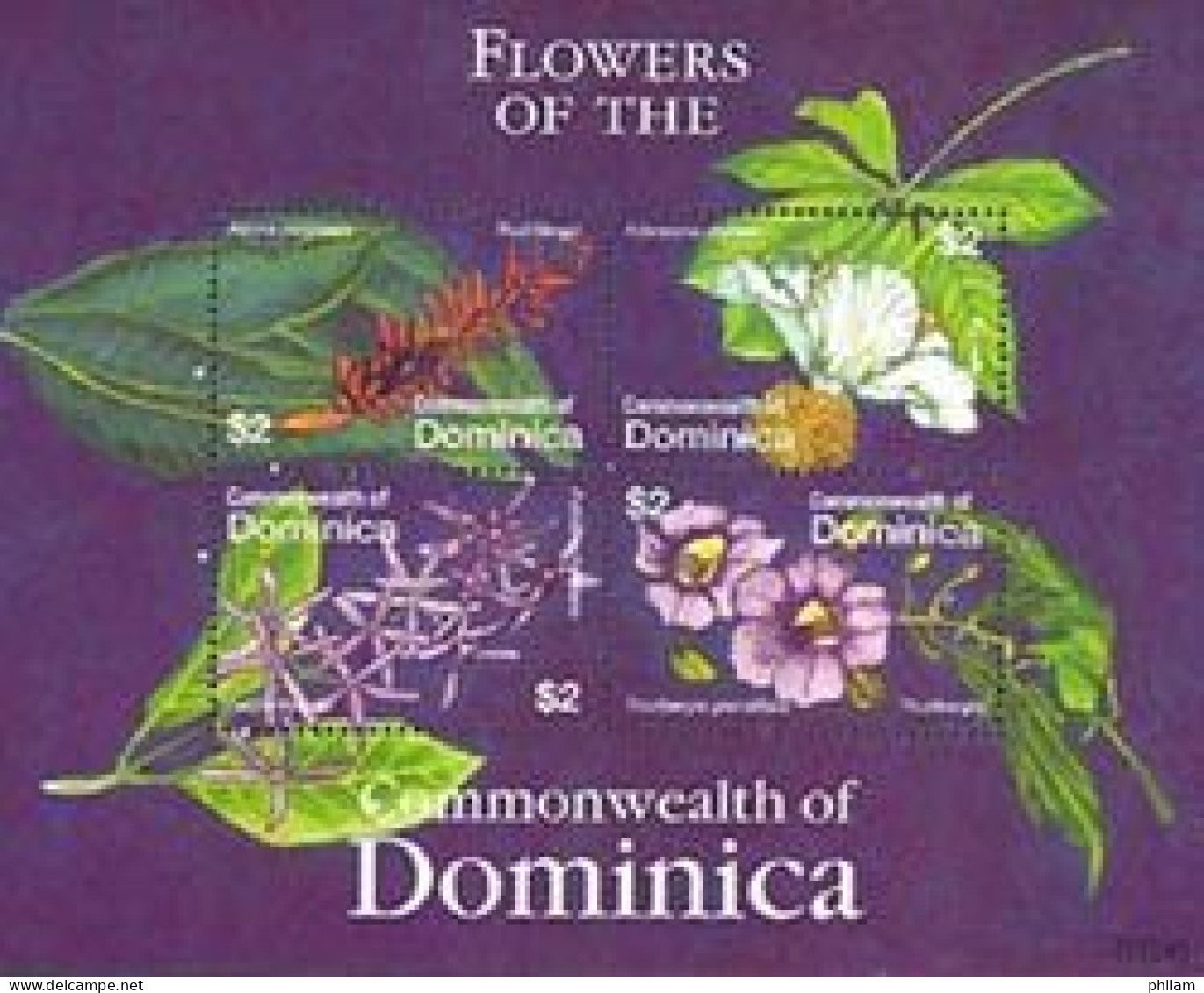 DOMINICA 2007 - Fleurs Locales - Feuillet De 4 (red Ginger) - Dominique (1978-...)