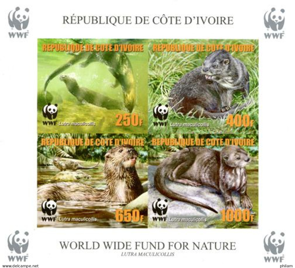 COTE D'IVOIRE 2005 - W.W.F.-Lutra Maculicollis-reprint-1 BF Collectif ND - Ivory Coast (1960-...)