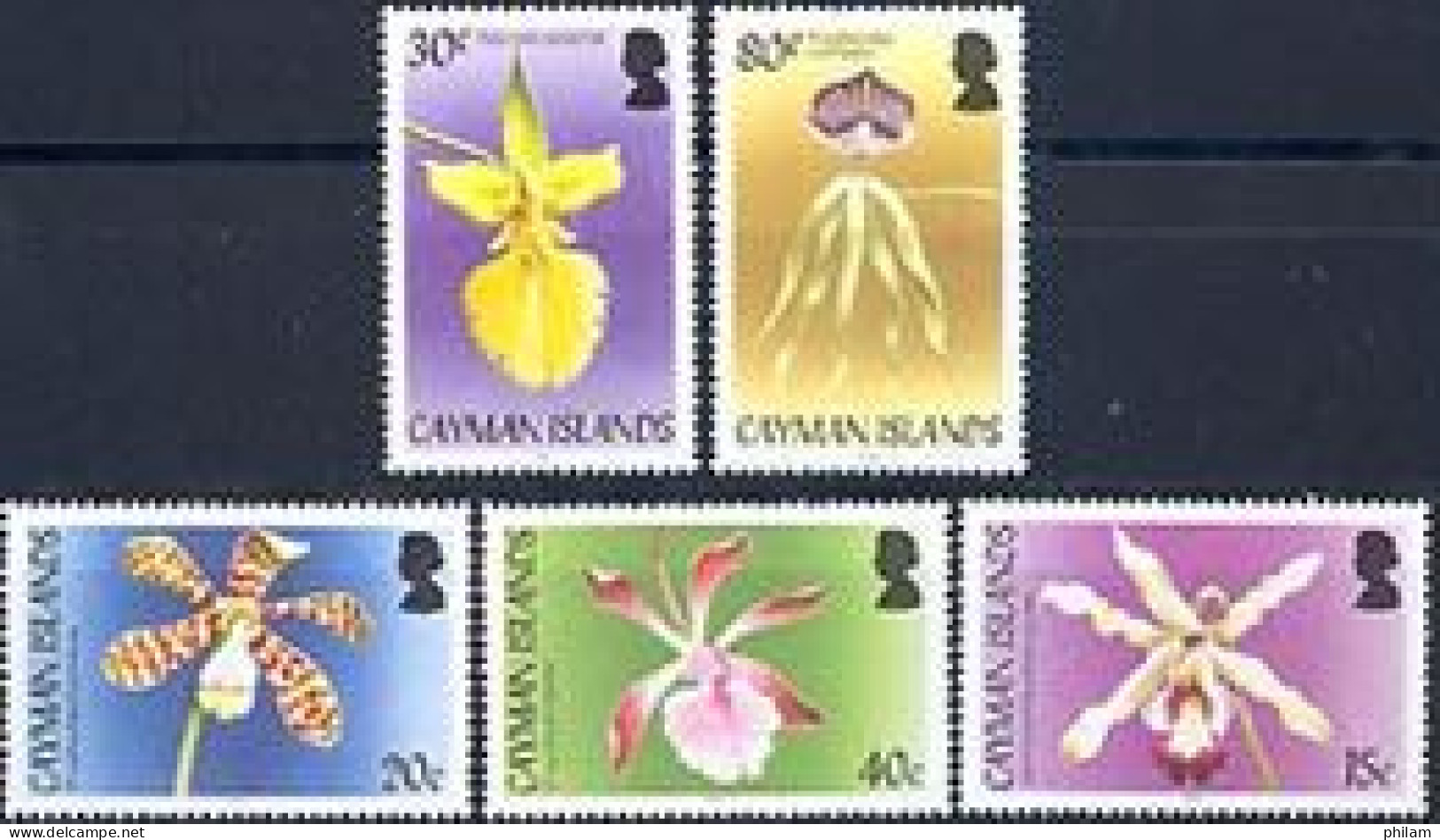 CAYMAN 2005 - Orchidées - 5 V. - Cayman Islands